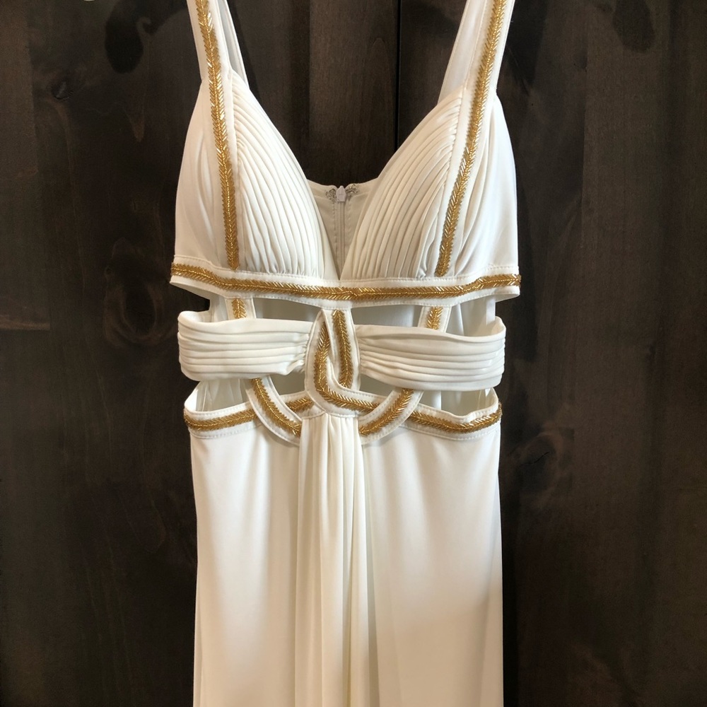 Betsy and Adam evening gown